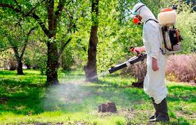 Ўсимликларни химоя қилиш хизмати